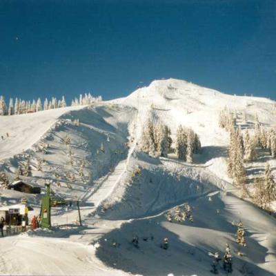 Zell00 2